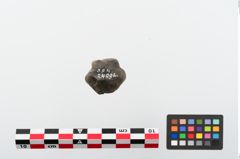 Foto von Spinnwirtel (NHMW-PRAE-024092)
